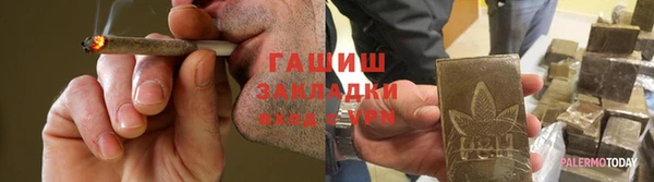 ГАЛЛЮЦИНОГЕННЫЕ ГРИБЫ Инсар