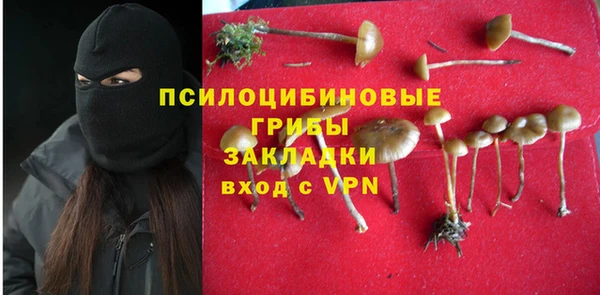 эйфоретик Нефтекумск